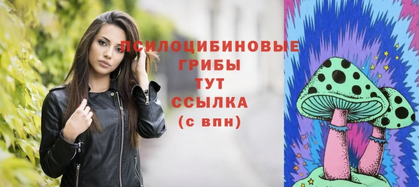 бошки Балахна