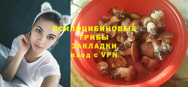 бошки Балахна