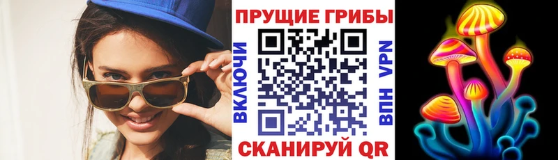 магазин продажи наркотиков  Белёв  Галлюциногенные грибы прущие грибы 
